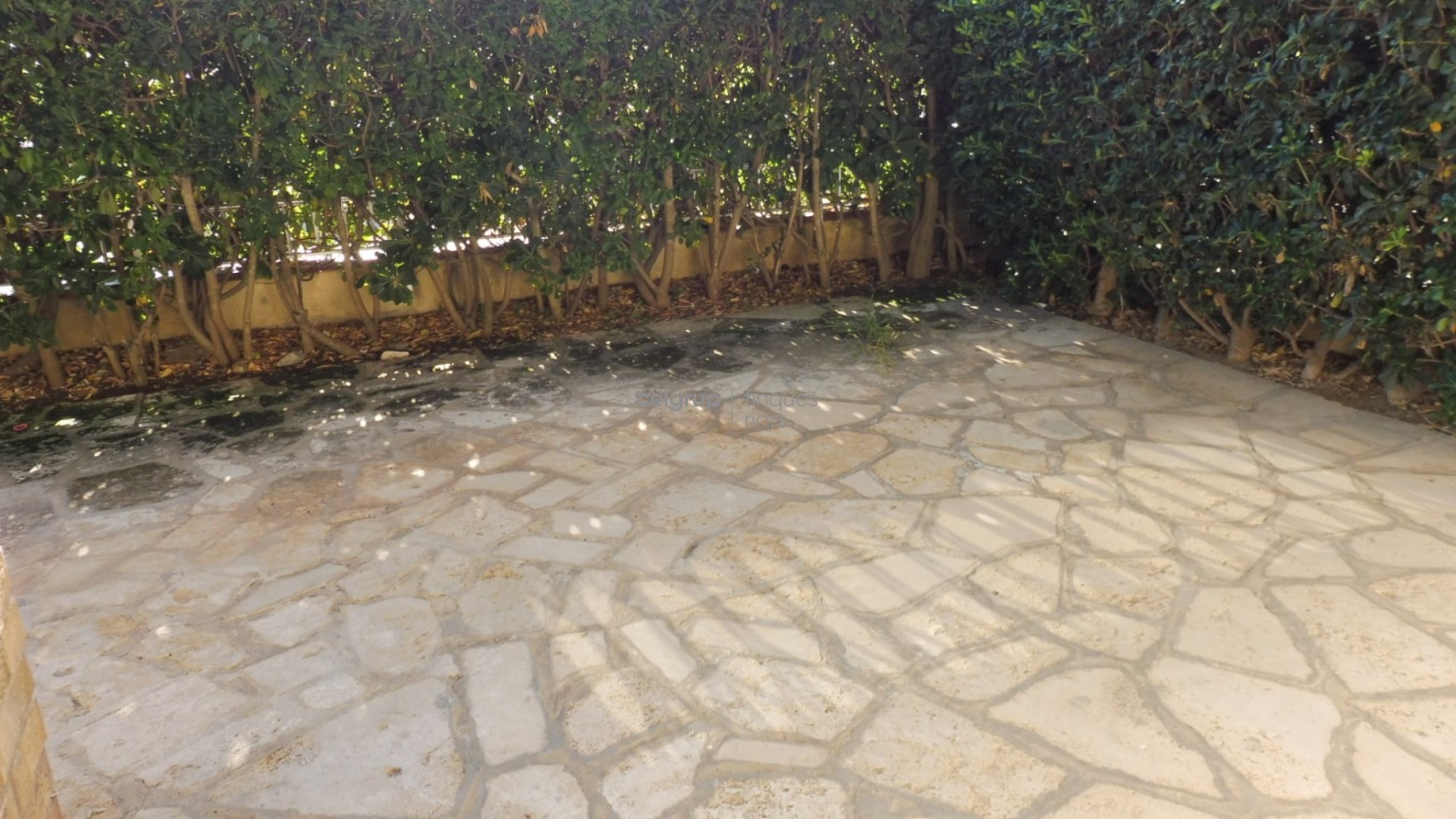 FANTÀSTICA PLANTA BAIXA AL COSTAT DEL MAR	