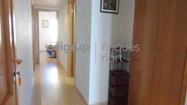 Détail de la propriété