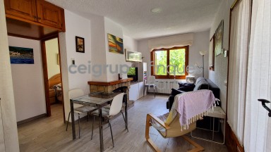 WITH GARDEN AND SWIMMING POOL