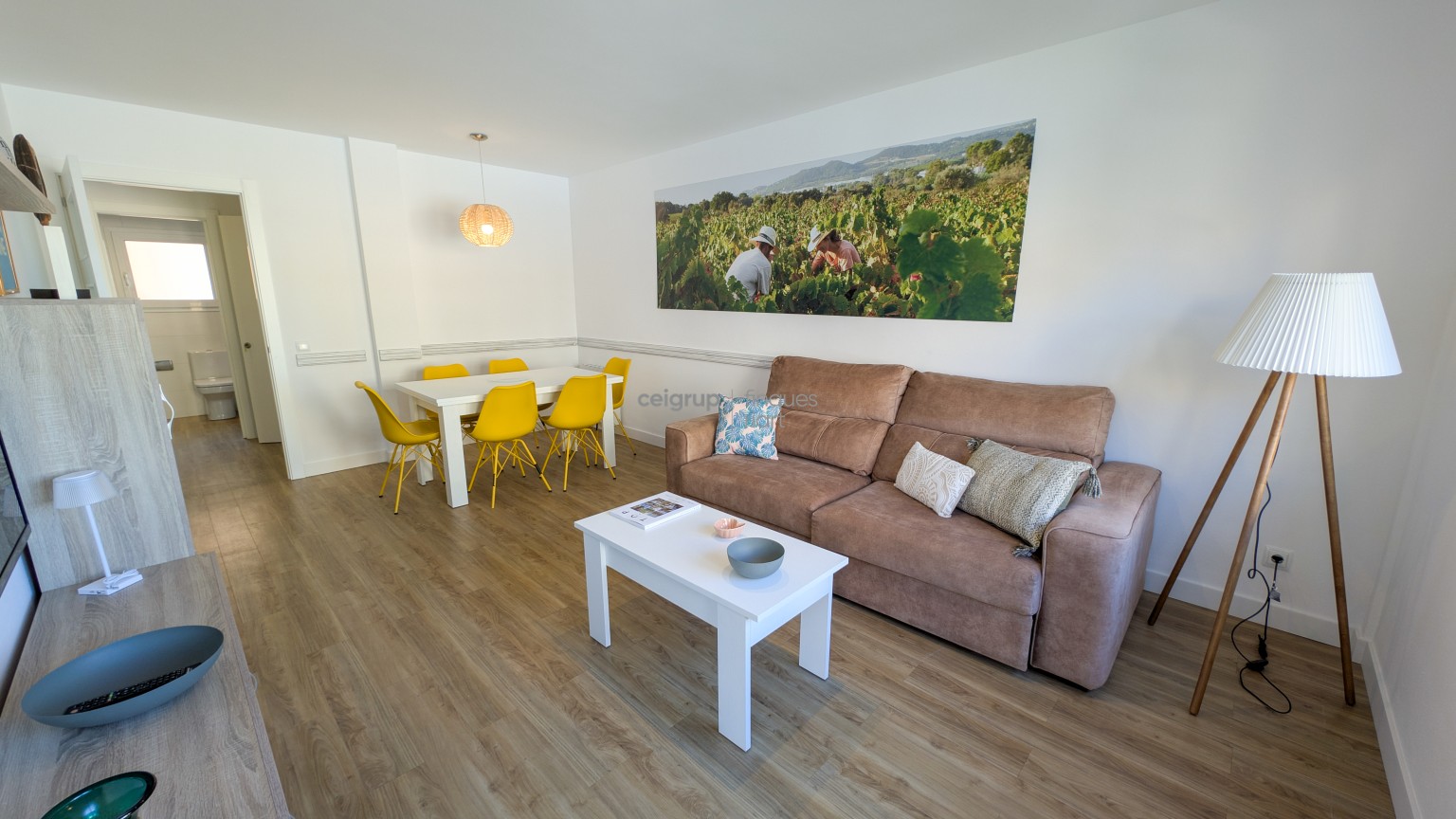 CARMEN - 1-1 (2 habitaciones) VIÑAS