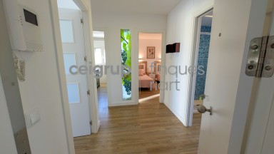 CARMEN - 1-1 (2 habitaciones) VIÑAS