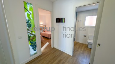 CARMEN - 1-1 (2 habitaciones) VIÑAS