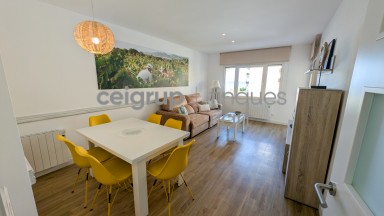 CARMEN - 1-1 (2 habitaciones) VIÑAS