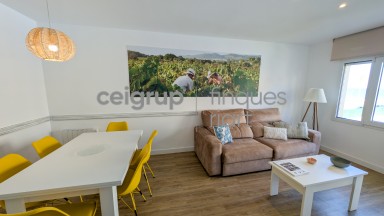 CARMEN - 1-1 (2 habitaciones) VIÑAS