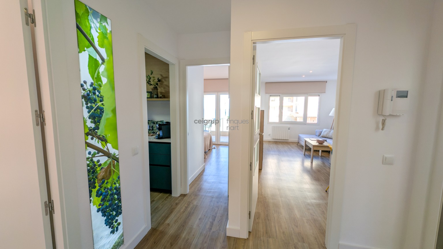 CARMEN - 1-2 (2 habitaciones) VIÑAS
