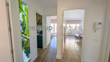 CARMEN - 1-2 (2 habitaciones) VIÑAS